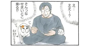 うらやましい！ 座ってるだけで猫にモテモテのお父さん／拾い猫のモチャ2（4）