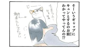 【猫あるある】凛々しいお顔と可愛い足先のギャップに萌える！／拾い猫のモチャ2（7）