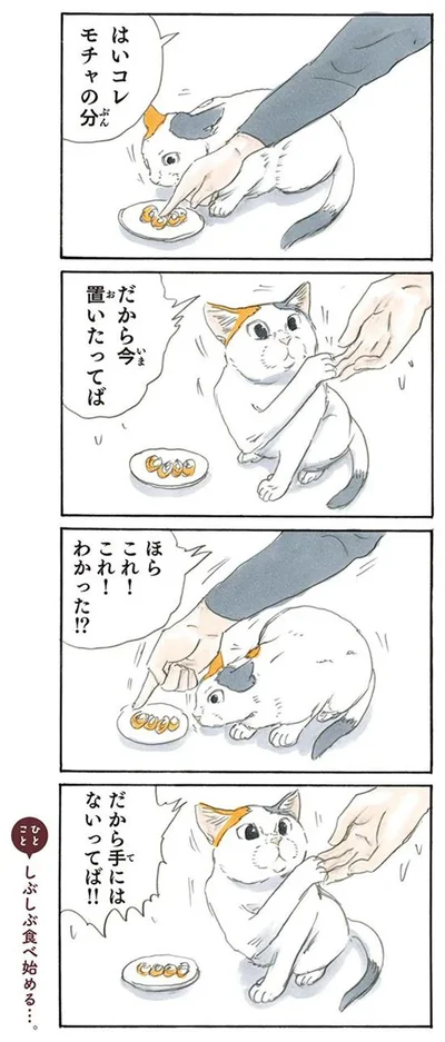 手にはない
