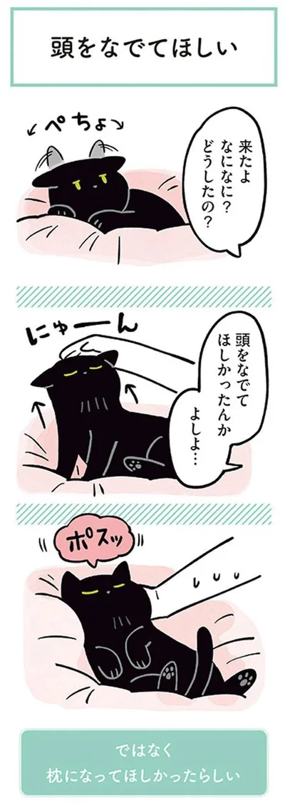 来たよ　なになに？どうしたの？