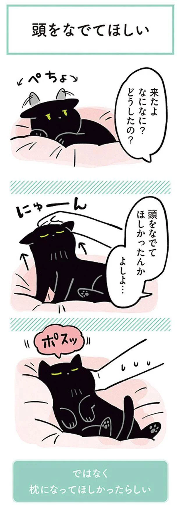 来たよ　なになに？どうしたの？