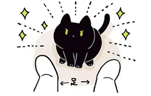 スマホを探していただけなのに。黒猫のアピールが可愛すぎる！／黒猫ろんと暮らしたら2（3）