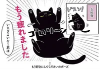 5秒で降参？猫の運動不足解消に追いかけっこ！／黒猫ろんと暮らしたら2（4）