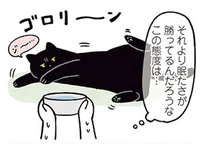 起き上がって水を飲むのが面倒なの？ぐ〜たら猫に水をあげる方法／黒猫ろんと暮らしたら2（10）