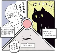 夜中の廊下にムカデが！人・猫・虫の三つ巴が始まる！／黒猫ろんと暮らしたら2（11）