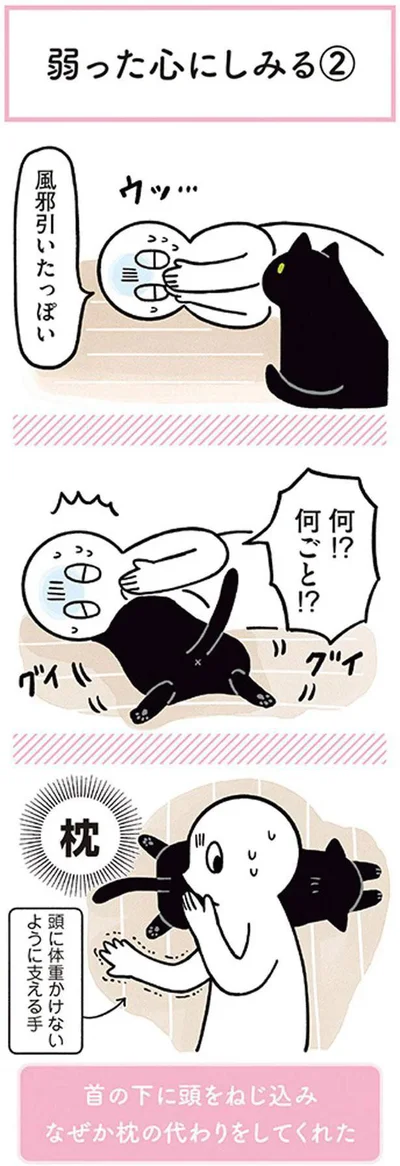 風邪ひいたっぽい