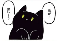 鼻がピンクじゃない？肉球が固い！猫初心者の驚きポイント／黒猫ろんと暮らしたら2（13）
