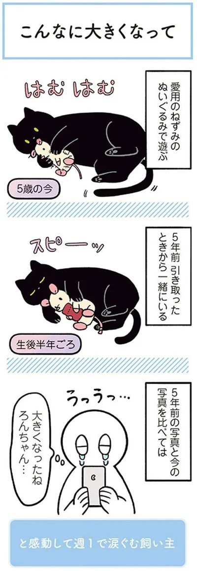 大きくなったね　ろんちゃん…