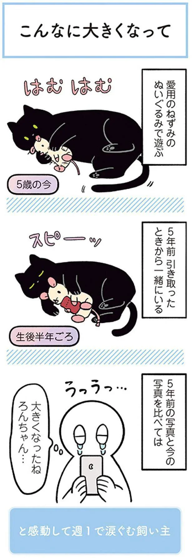 大きくなったね　ろんちゃん…