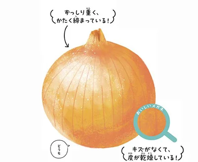 頭を軽く押してかたいものが鮮度バツグン