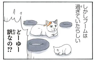 ブームは過ぎていたらしい
