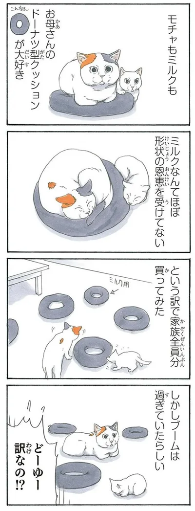 ドーナツブーム