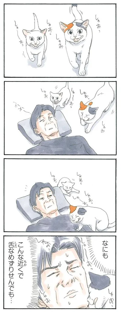 舌なめずり