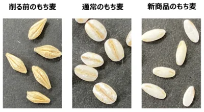 削りの技術を駆使して、お米の形状に近づけた新商品のもち麦