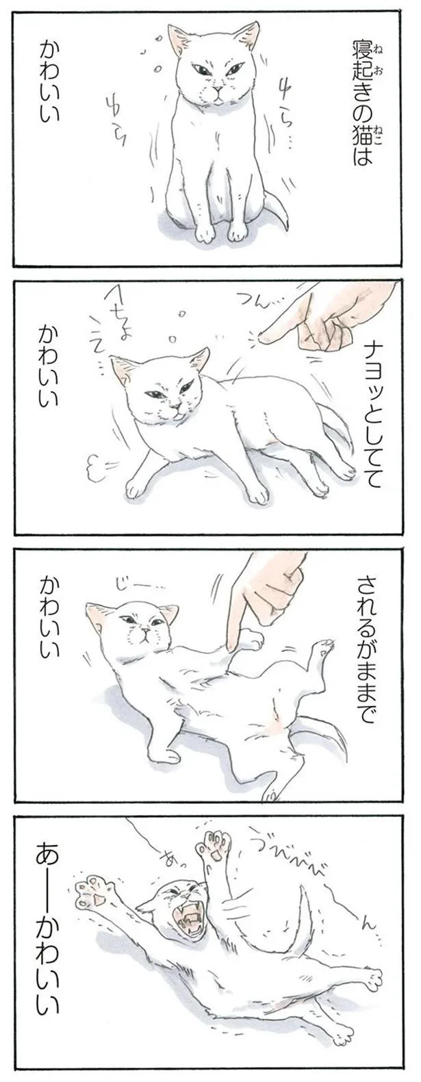 寝起きの猫は