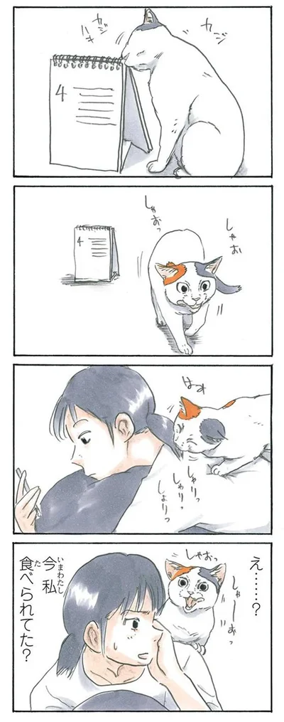 カジカジ