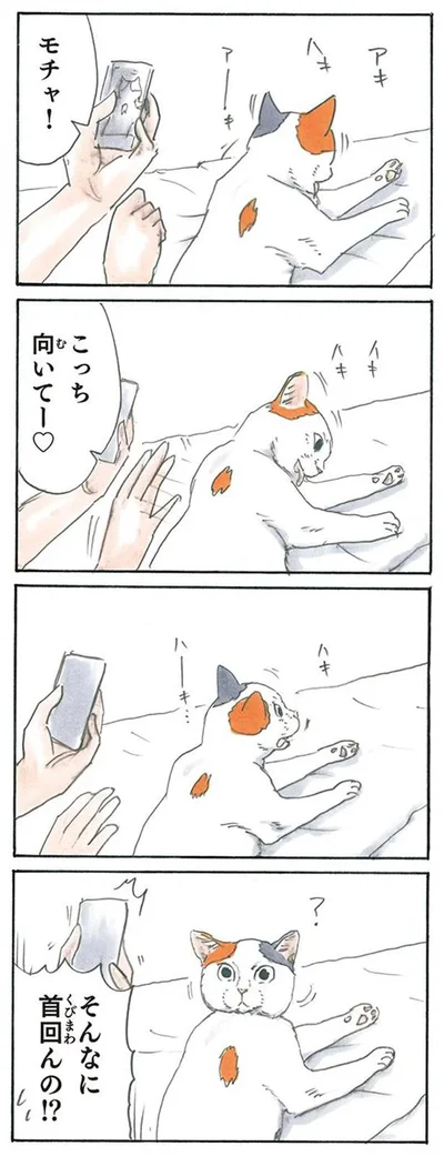 こっち向いて