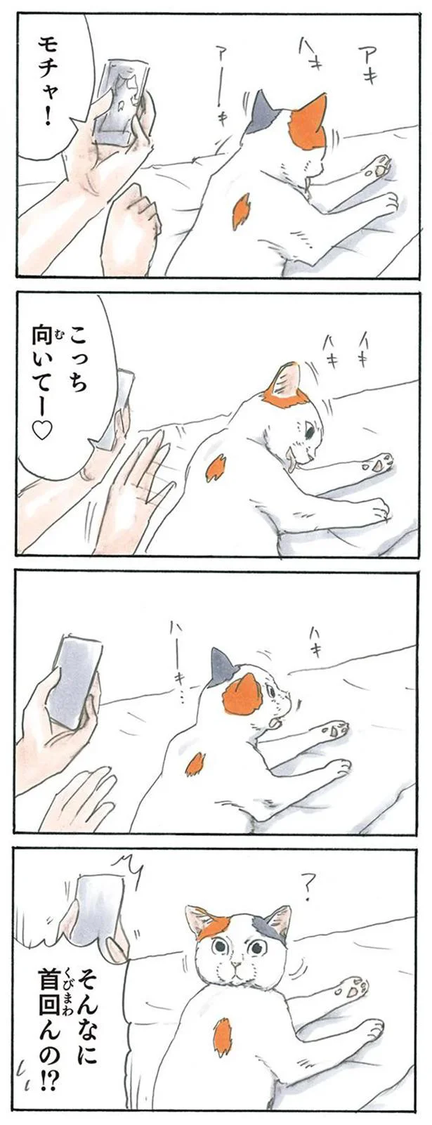 こっち向いて
