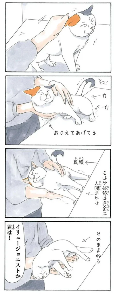 全力で甘えるモチャ