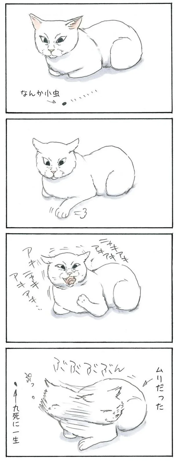 小虫の災難