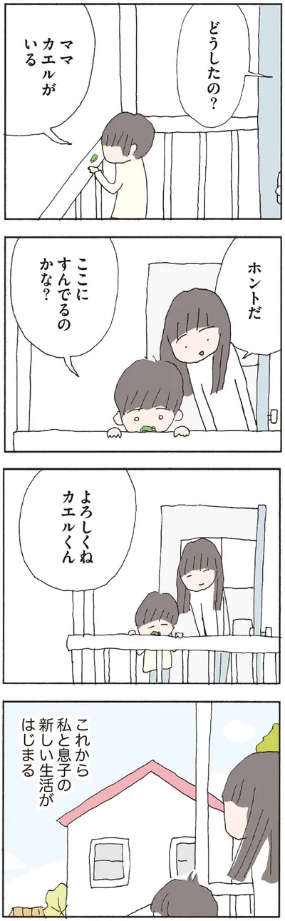 カエルがいる