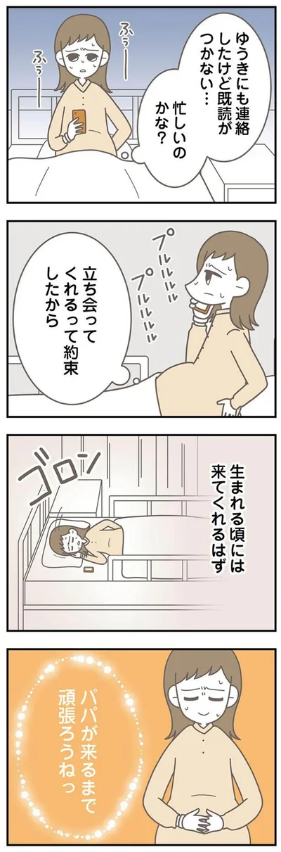   『信じた夫は嘘だらけ』より