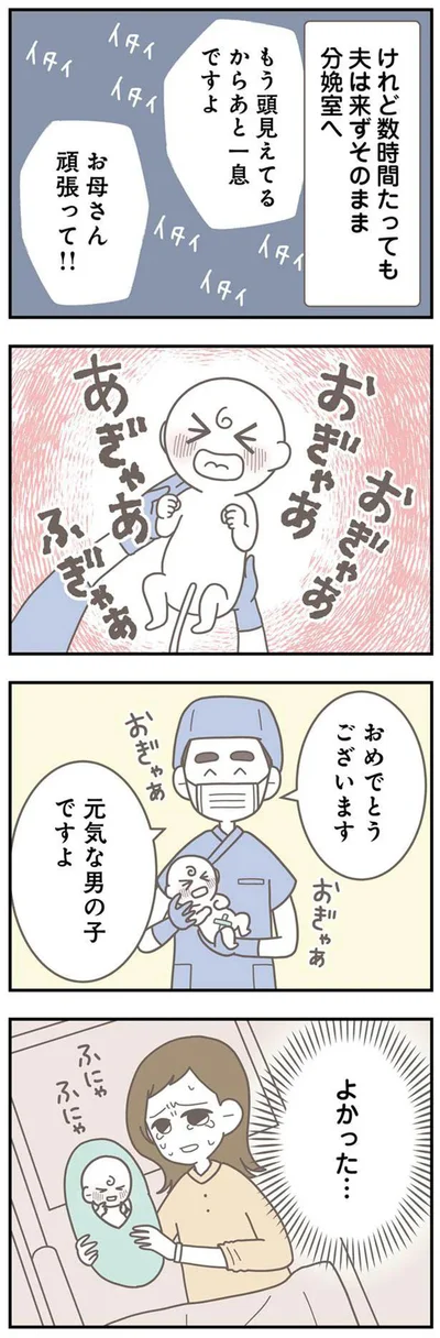   『信じた夫は嘘だらけ』より