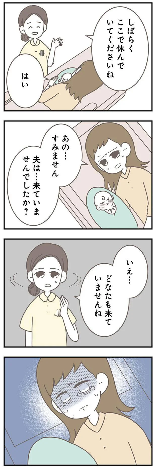   『信じた夫は嘘だらけ』より