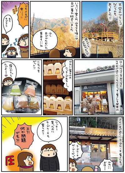 クッキー買ったのにチーズケーキも買うの？