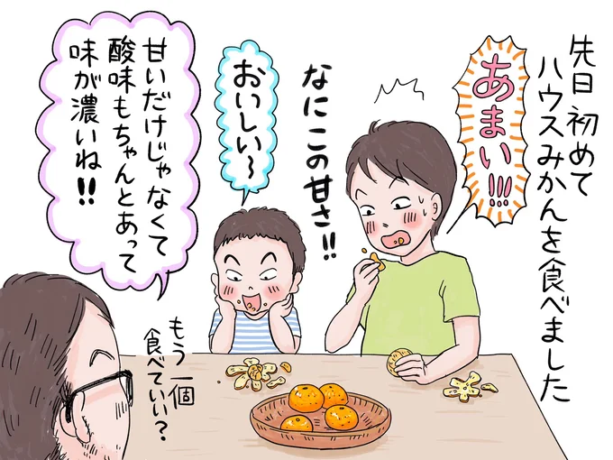 甘い！けど酸味もちゃんとあって味が濃い！ハウスみかんのおいしさに家族も驚く