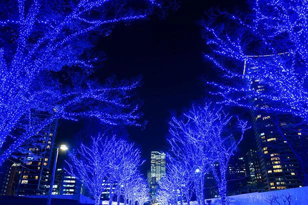 画期的な発明！ノーベル賞を受賞した「青色」LEDがすごい理由／人類なら知っておきたい 地球の雑学（85）