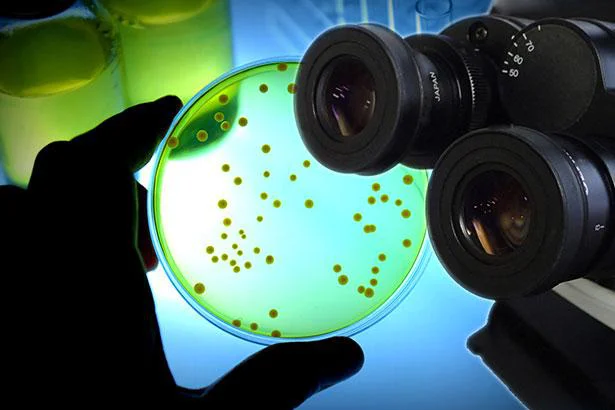 抗生物質の「ペニシリン」。実は、細菌学者のミスから生まれた!?／人類なら知っておきたい 地球の雑学（87）