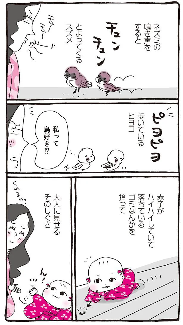 私って鳥好き!?