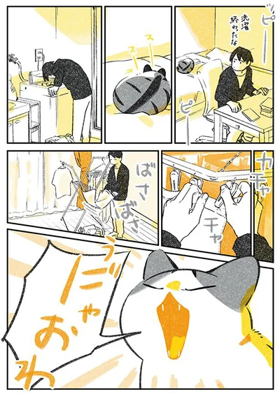 「探す猫と探される猫」