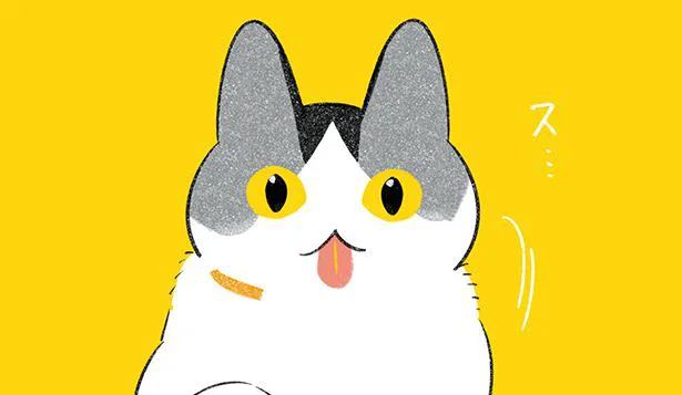 すごい出てる
