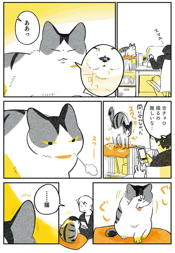 舌チョロ撮るの難しいな…