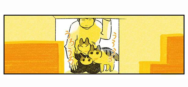 うろうろ