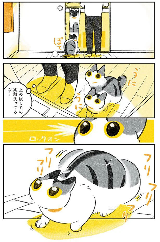 上の段までの距離測ってるな…