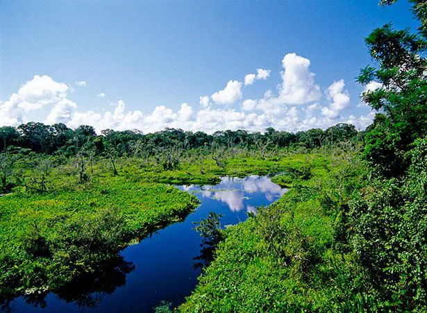 アマゾン川の地下にはもう一つ巨大な河がある⁉
