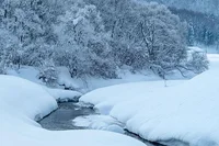 日本海側は世界屈指の豪雪地帯!?いったいなぜ大雪が降るのか？／人類なら知っておきたい 地球の雑学（117）
