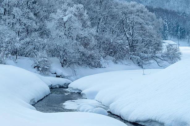 日本海側は世界屈指の豪雪地帯