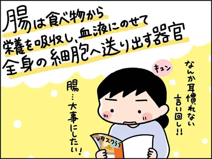 腸は食べ物から栄養を吸収し、血液にのせて全身の細胞へ送り出す器官