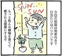 グリーンで癒やされる部屋にしたい！園芸を楽しむ3つのポイント／おひとりさまのゆたかな年収200万生活3（5）