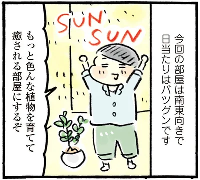 もっといろんな植物を育てて癒やさる部屋にするぞ