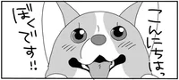 「こんにちはっ！」元気よく挨拶したコーギーに、ツレない柴犬／あしょんでよッ ～うちの犬ログ～9（1）