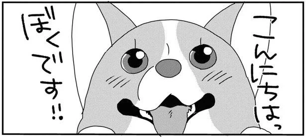 こんにちはっ