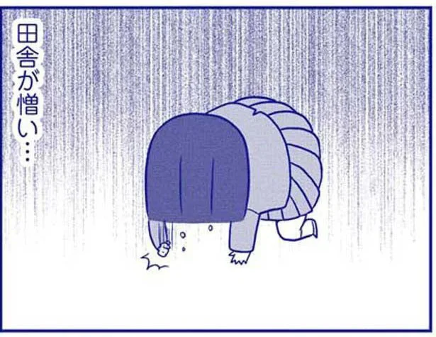 田舎が憎い…
