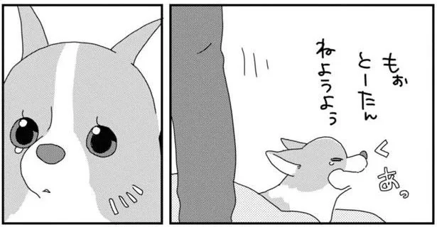もぉとーたん ねようよぅ