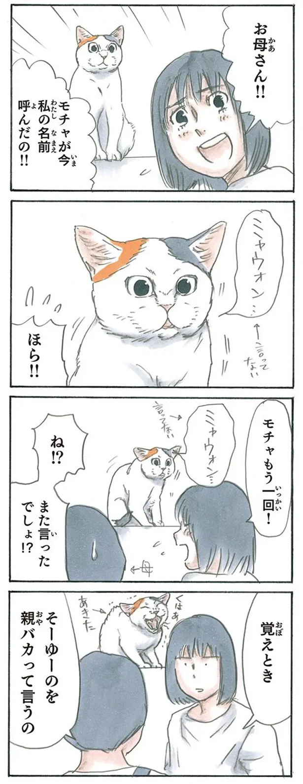 名前を呼んでくれる猫