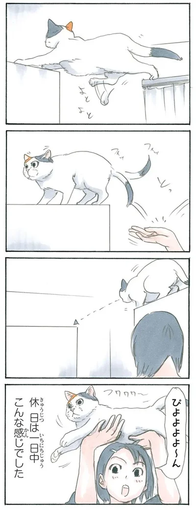 休日のできごと